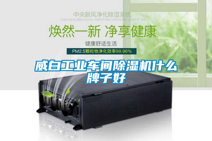 威白工業(yè)車(chē)間除濕機什么牌子好