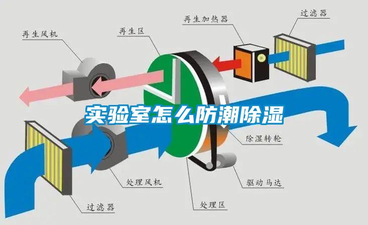 實(shí)驗室怎么防潮除濕
