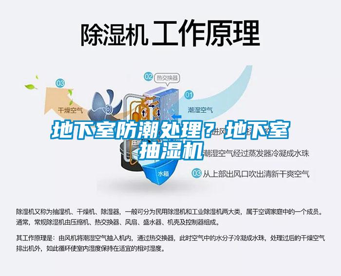 地下室防潮處理？地下室抽濕機