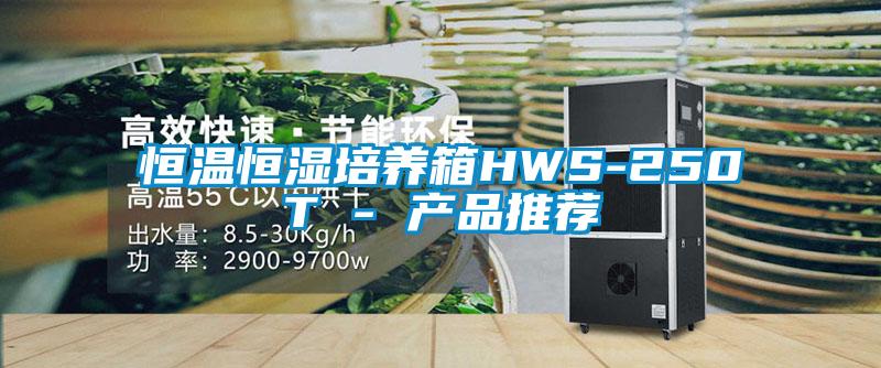恒溫恒濕培養箱HWS-250T - 產(chǎn)品推薦