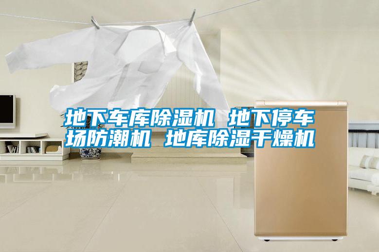 地下車(chē)庫除濕機 地下停車(chē)場(chǎng)防潮機 地庫除濕干燥機
