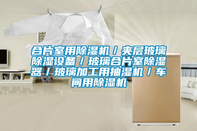 合片室用除濕機／夾層玻璃除濕設備／玻璃合片室除濕器／玻璃加工用抽濕機／車(chē)間用除濕機