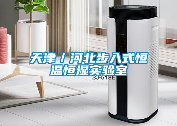 天津／河北步入式恒溫恒濕實(shí)驗室