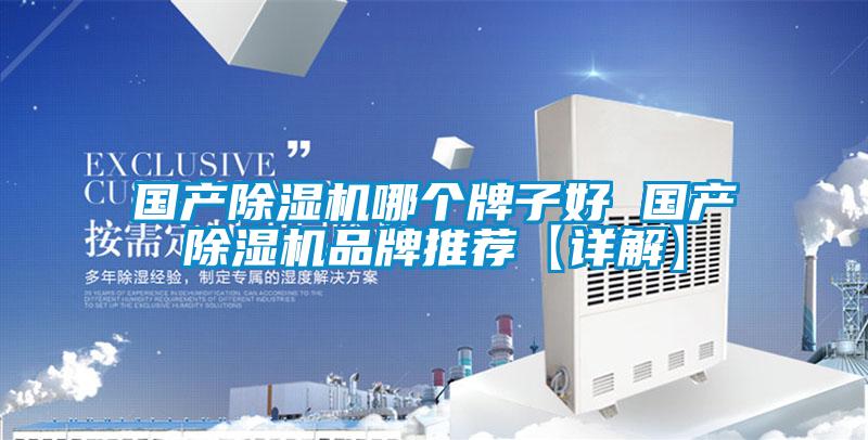 國產(chǎn)除濕機哪個(gè)牌子好 國產(chǎn)除濕機品牌推薦【詳解】