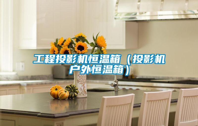 工程投影機恒溫箱（投影機戶(hù)外恒溫箱）