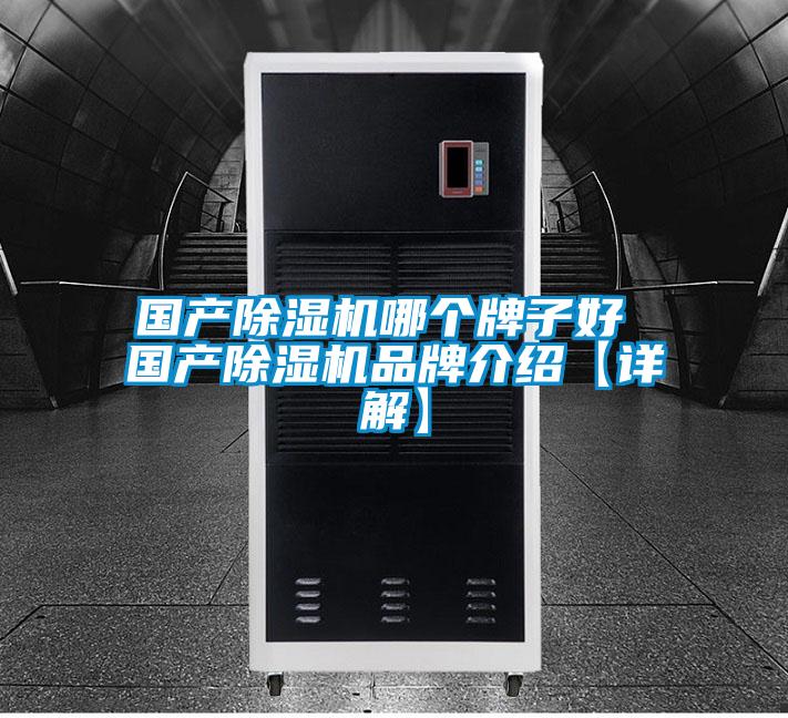 國產(chǎn)除濕機哪個(gè)牌子好 國產(chǎn)除濕機品牌介紹【詳解】