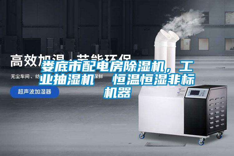 婁底市配電房除濕機，工業(yè)抽濕機  恒溫恒濕非標機器