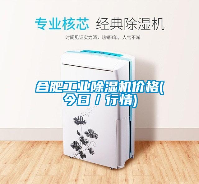 合肥工業(yè)除濕機價(jià)格(今日／行情)