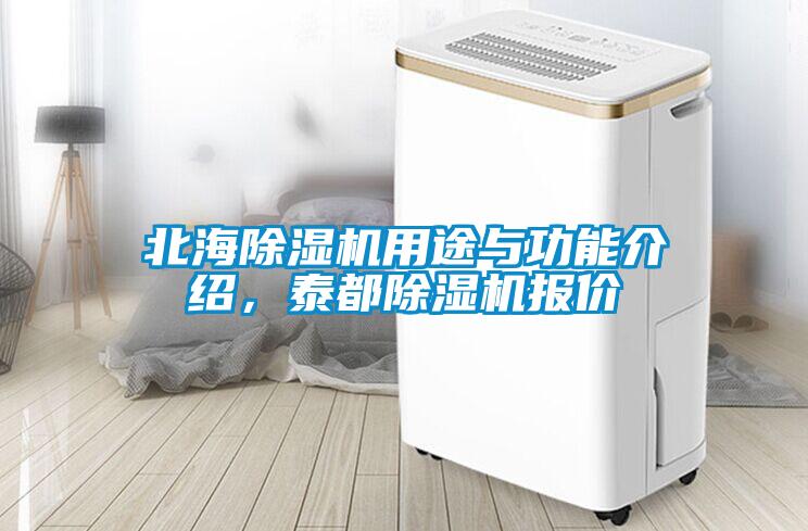北海除濕機用途與功能介紹，泰都除濕機報價(jià)