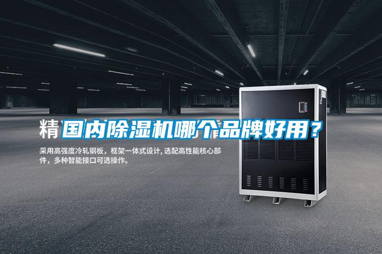 國內除濕機哪個(gè)品牌好用？