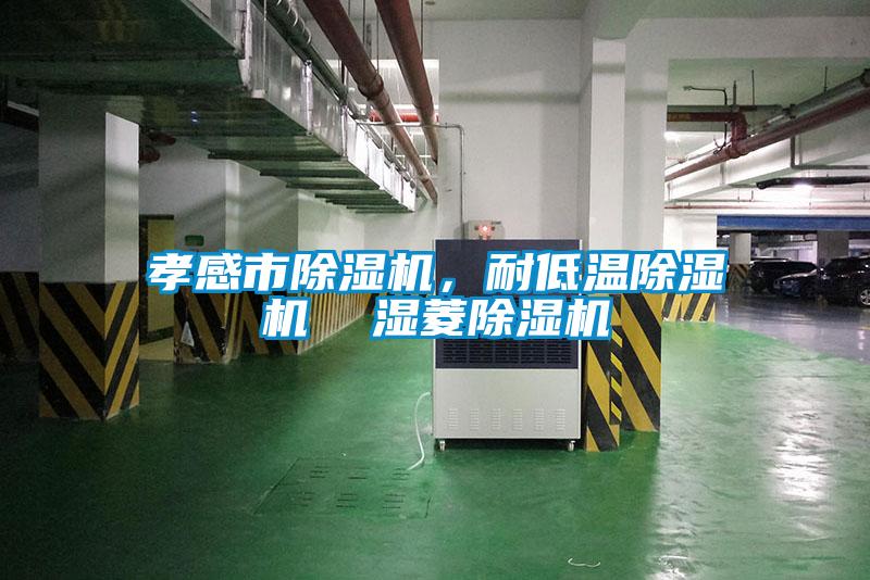 孝感市除濕機，耐低溫除濕機  濕菱除濕機
