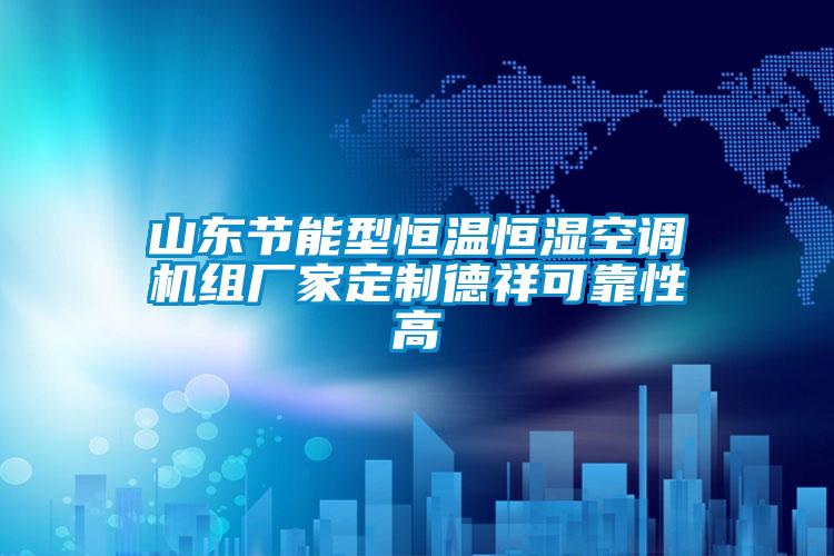山東節能型恒溫恒濕空調機組廠(chǎng)家定制德祥可靠性高