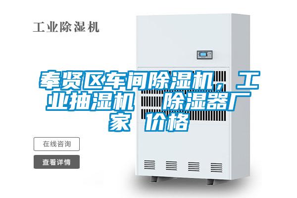 奉賢區車(chē)間除濕機，工業(yè)抽濕機  除濕器廠(chǎng)家 價(jià)格