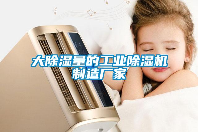 大除濕量的工業(yè)除濕機制造廠(chǎng)家