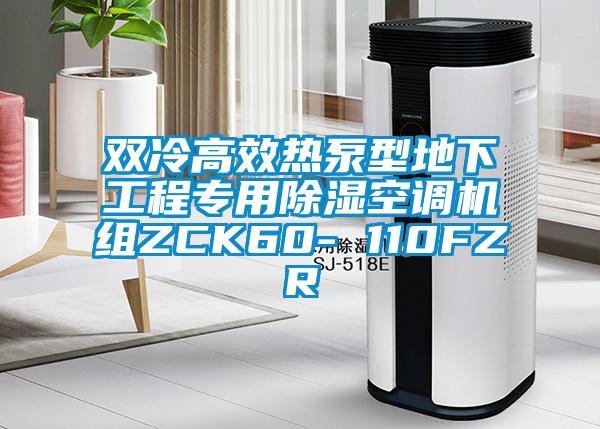 雙冷高效熱泵型地下工程專(zhuān)用除濕空調機組ZCK60- 110FZR