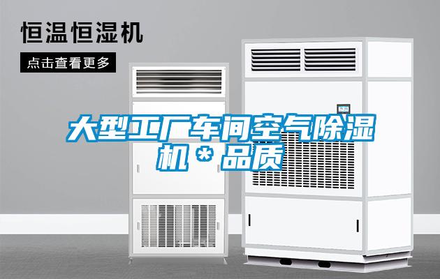大型工廠(chǎng)車(chē)間空氣除濕機＊品質(zhì)