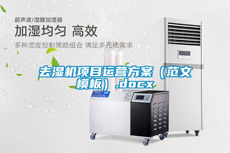 去濕機項目運營(yíng)方案（范文模板）.docx