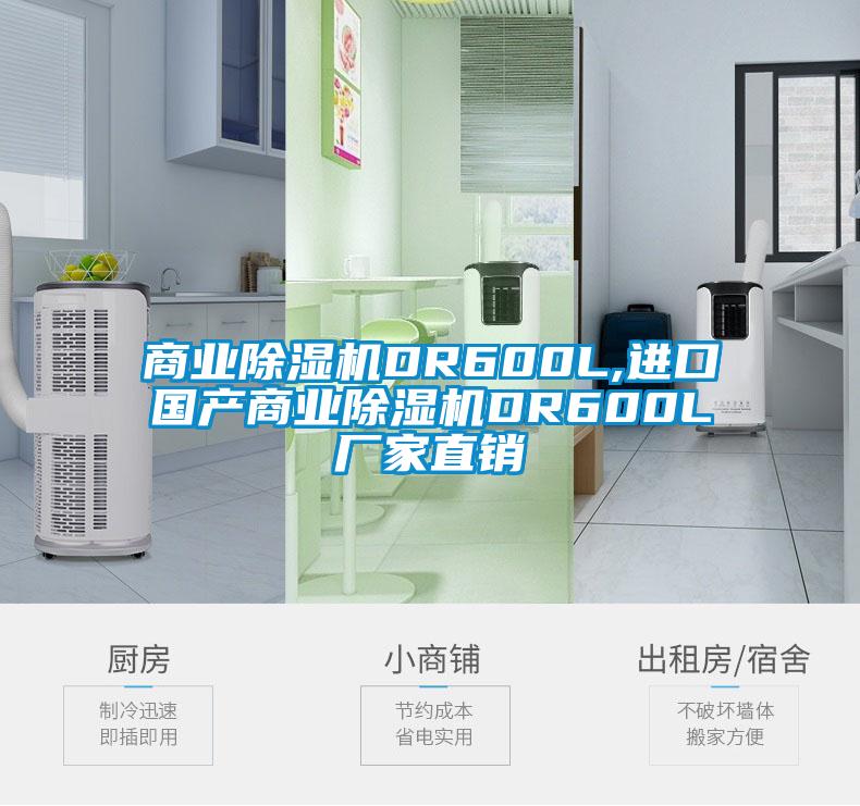 商業(yè)除濕機DR600L,進(jìn)口國產(chǎn)商業(yè)除濕機DR600L廠(chǎng)家直銷(xiāo)