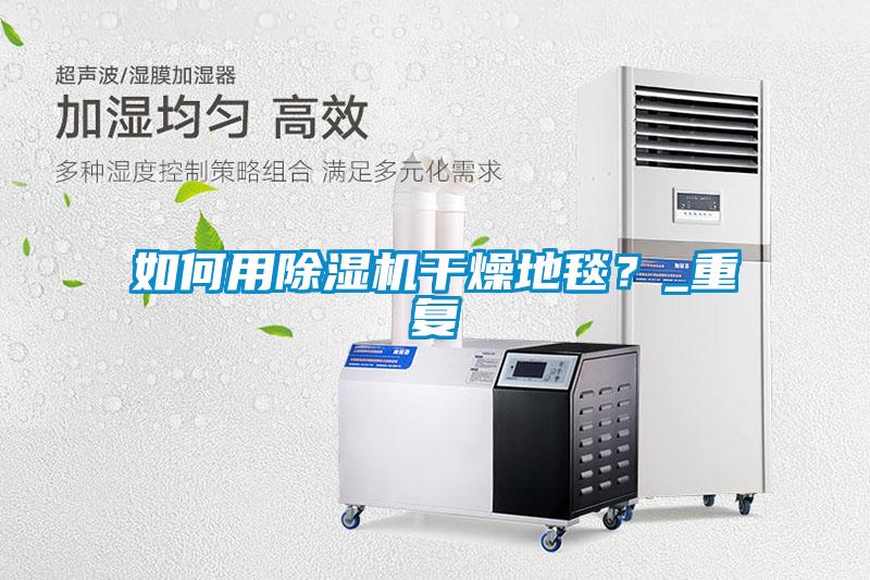 如何用除濕機干燥地毯？_重復