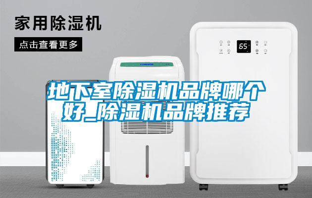 地下室除濕機品牌哪個(gè)好_除濕機品牌推薦