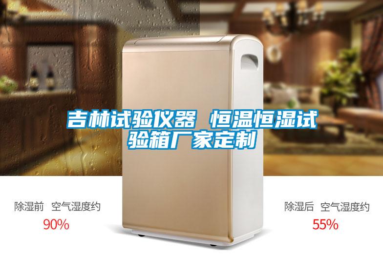 吉林試驗儀器 恒溫恒濕試驗箱廠(chǎng)家定制
