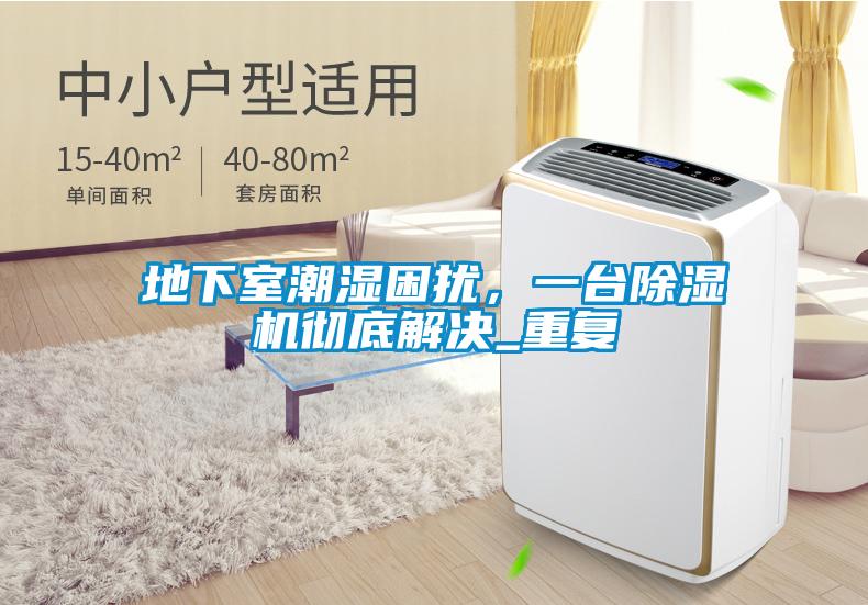 地下室潮濕困擾，一臺除濕機徹底解決_重復