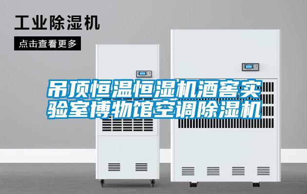 吊頂恒溫恒濕機酒窖實(shí)驗室博物館空調除濕機