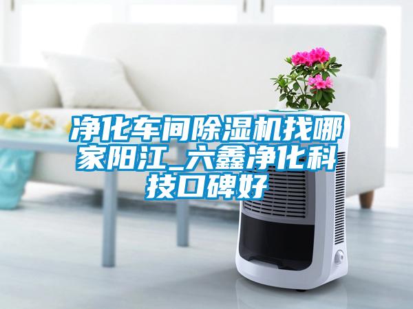凈化車(chē)間除濕機找哪家陽(yáng)江_六鑫凈化科技口碑好