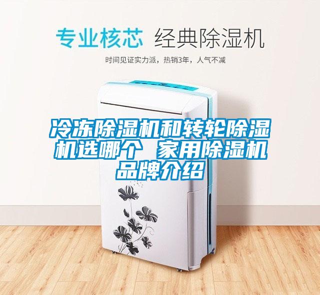 冷凍除濕機和轉輪除濕機選哪個(gè) 家用除濕機品牌介紹