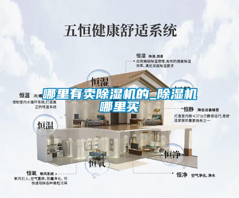 哪里有賣(mài)除濕機的_除濕機哪里買(mǎi)