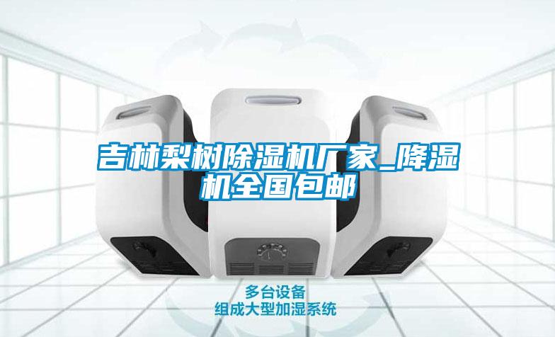 吉林梨樹(shù)除濕機廠(chǎng)家_降濕機全國包郵