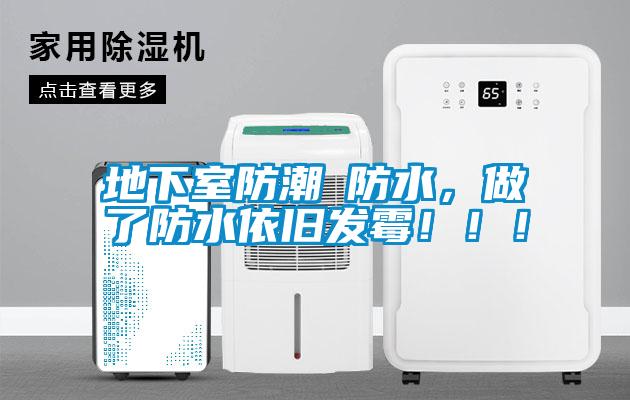 地下室防潮≠防水，做了防水依舊發(fā)霉?。?！
