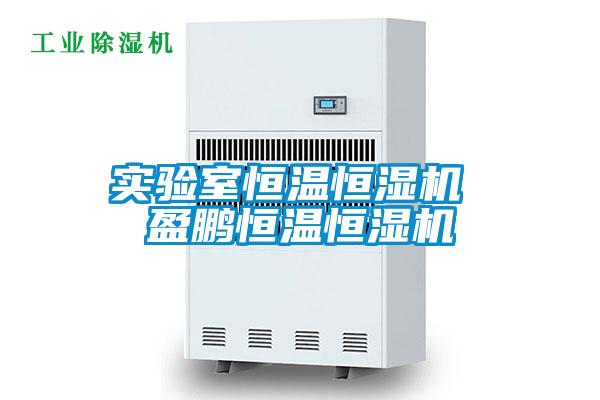 實(shí)驗室恒溫恒濕機 盈鵬恒溫恒濕機