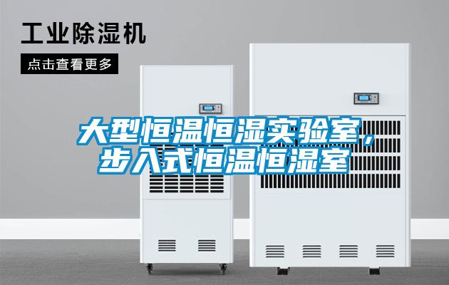 大型恒溫恒濕實(shí)驗室，步入式恒溫恒濕室