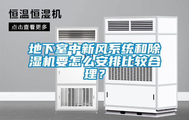 地下室中新風(fēng)系統和除濕機要怎么安排比較合理？
