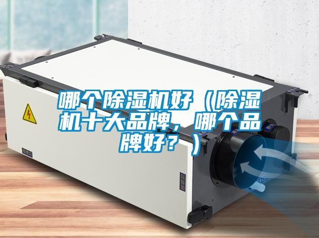 哪個(gè)除濕機好（除濕機十大品牌，哪個(gè)品牌好？）