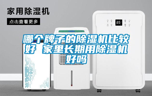 哪個(gè)牌子的除濕機比較好 家里長(cháng)期用除濕機好嗎