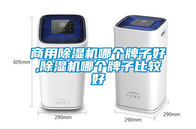 商用除濕機哪個(gè)牌子好,除濕機哪個(gè)牌子比較好