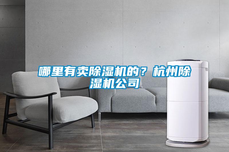哪里有賣(mài)除濕機的？杭州除濕機公司