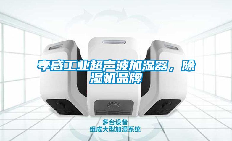 孝感工業(yè)超聲波加濕器，除濕機品牌