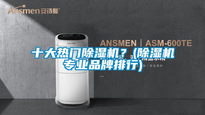 十大熱門(mén)除濕機？(除濕機專(zhuān)業(yè)品牌排行)