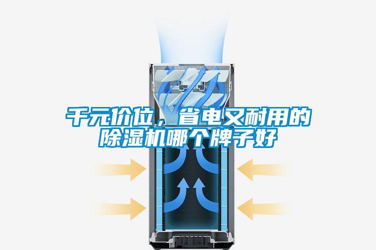 千元價(jià)位，省電又耐用的除濕機哪個(gè)牌子好