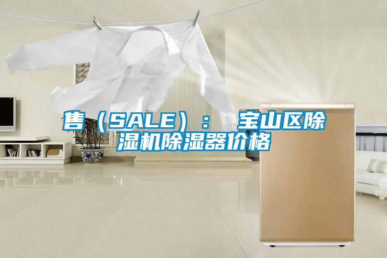 售（SALE）： 寶山區除濕機除濕器價(jià)格