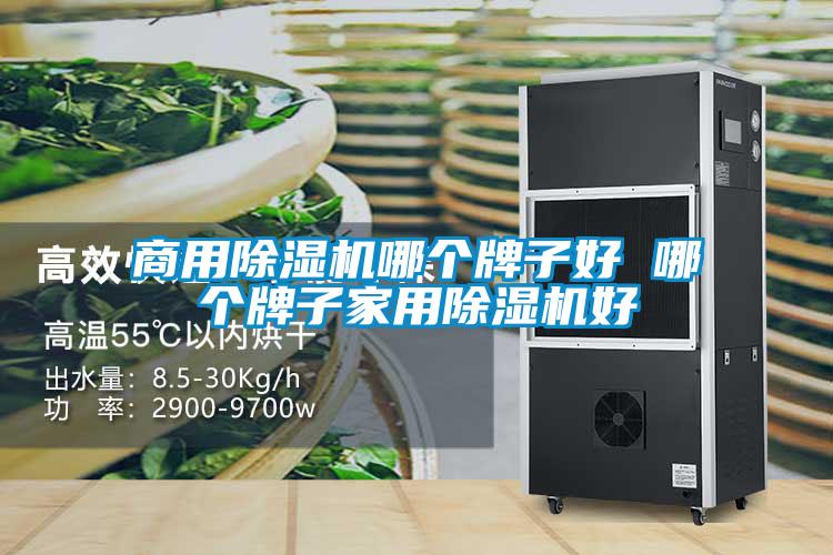 商用除濕機哪個(gè)牌子好 哪個(gè)牌子家用除濕機好