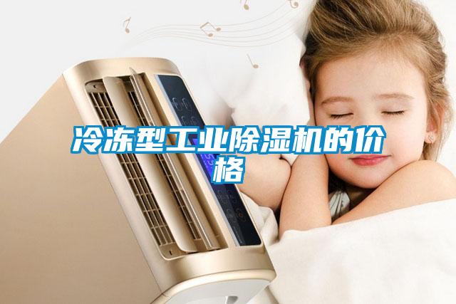 冷凍型工業(yè)除濕機的價(jià)格