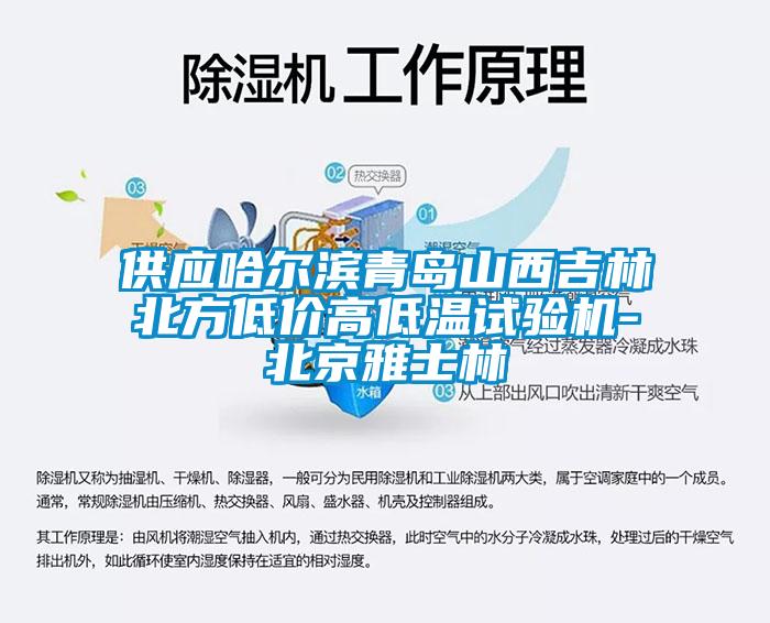 供應哈爾濱青島山西吉林北方低價(jià)高低溫試驗機-北京雅士林
