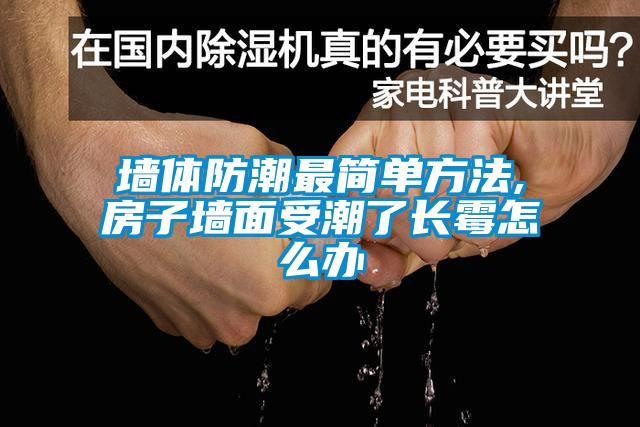 墻體防潮最簡(jiǎn)單方法,房子墻面受潮了長(cháng)霉怎么辦
