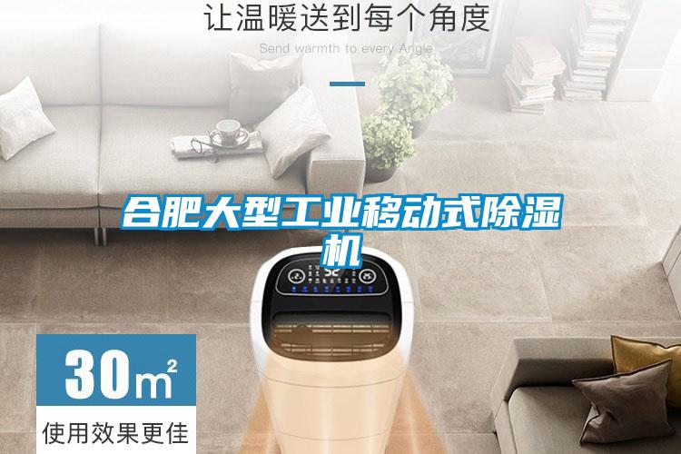 合肥大型工業(yè)移動(dòng)式除濕機