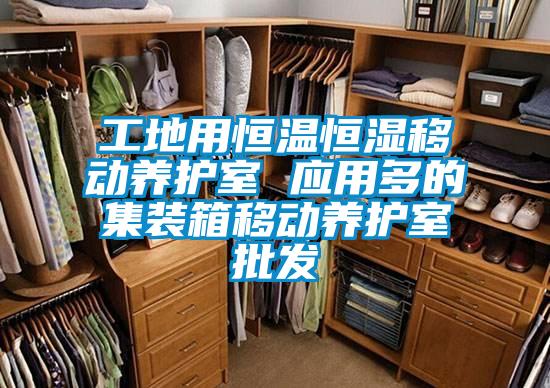 工地用恒溫恒濕移動(dòng)養護室 應用多的集裝箱移動(dòng)養護室批發(fā)
