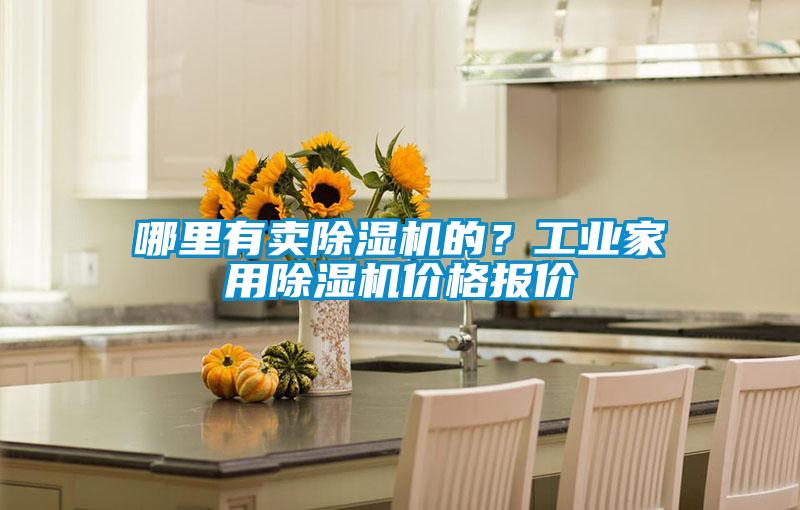 哪里有賣(mài)除濕機的？工業(yè)家用除濕機價(jià)格報價(jià)